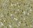STARON® Tempest | Staron