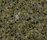 STARON® Tempest | Staron
