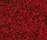 STARON® Tempest | Staron