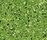 STARON® Tempest | Staron
