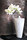 Stucco gesso | Stucco Pompeji
