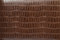 CASE | DECOR WALTHER