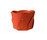 Poppy | Klong