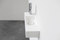 Form | Not Only White