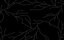 Madras® Lacquered glass | Vitrealspecchi