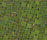 Variations | Bisazza