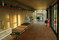 Oak Natural without sapwood | Bolefloor