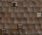 Cocomosaic Tiles | Cocomosaic
