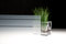 Border-Horizontal ❘ Glass Finish | 3M