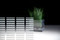 Border-Horizontal ❘ Glass Finish | 3M