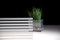 Border-Horizontal ❘ Glass Finish | 3M