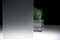 Frost-Mat ❘ Glass Finish | 3M