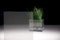 Prism-Dot ❘ Glass Finish | 3M