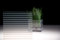 Stripe ❘ Glass Finish | 3M