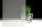 Stripe ❘ Glass Finish | 3M