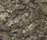 Silestone® Stonium | Cosentino