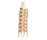 Chair for children | Kuopion Woodi