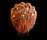 Protea Chandeliers | Willowlamp