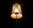 Circular Cropped | Willowlamp