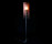 Circular Willow | Willowlamp
