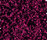 Glory 1500 | OBJECT CARPET