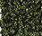 Glory 1500 | OBJECT CARPET