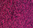 Madra 1100 | OBJECT CARPET