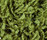 Poodle 1400 | OBJECT CARPET