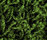 Poodle 1400 | OBJECT CARPET