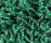 Poodle 1400 | OBJECT CARPET