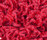 Poodle 1400 | OBJECT CARPET