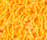 Poodle 1400 | OBJECT CARPET