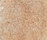 Pure Silk 2500 | OBJECT CARPET