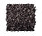 Shiny 2500 | OBJECT CARPET