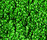 Shiny 2500 | OBJECT CARPET