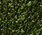 Shiny 2500 | OBJECT CARPET