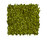 Shiny 2500 | OBJECT CARPET