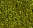 Shiny 2500 | OBJECT CARPET