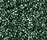 Shiny 2500 | OBJECT CARPET