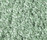 Shiny 2500 | OBJECT CARPET