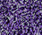 Splash 1300 | OBJECT CARPET
