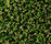 Splash 1300 | OBJECT CARPET