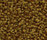 Step In 1300 | OBJECT CARPET