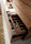Odeon | ARLEX design