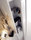 Odeon | ARLEX design