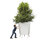 Elevation Planting | FLORA