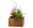 Thallo | FLORA