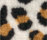 Leo 700 | OBJECT CARPET