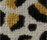 Leo 700 | OBJECT CARPET