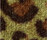 Leo 700 | OBJECT CARPET